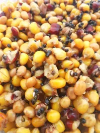bobik-kukurydza-konopia-lubin-mix-na-ryby-1kg-mix-na-karpia-amura