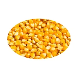 kukurydza-zolta-wedkarska-1-kg