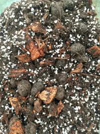 ziemia-do-kwiatow-podloze-uniwersalne-bigos-5l