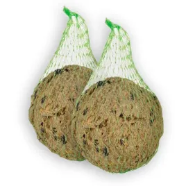 kule-zimowe-tluszczowe-karma-dla-ptakow-zimowa-2x90g