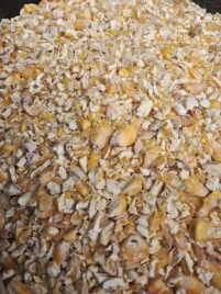 kukurydza-cwiartki-walcowana-gnieciona-dla-drobiu-kur-bydla-golebi-20kg