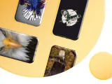 etui-do-xiaomi-redmi-note-9-pro-9-pro-max-note-9s-wzory-orzel-sokol-material-tworzywo-sztuczne