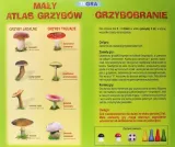 grzybobranie-nazwa-grzybobranie