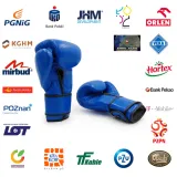 rekawice-bokserskie-evolution-pro-skorzane-stan-nowy