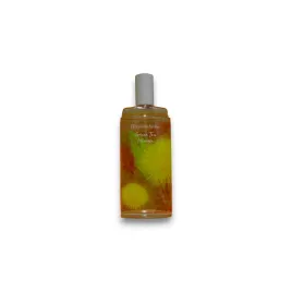 elizabeth-arden-green-tea-mimosa-eau-de-toilette-for-women-100-ml-te