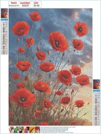 zestaw-haft-diamentowy-mozaika-diamentowa-30x40cm-maki-pochmurne-niebo