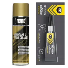 forte-air-intake-and-valve-cleaner-do-dolotu