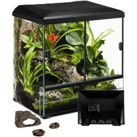zestaw-terrarium-tropikalne-wyposazenie-30x25x35
