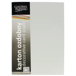 karton-ozdobny-gladki-jasnoszary-satynowy-210g-galeria-papieru