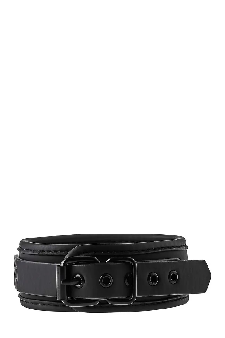 blaze-collar-and-leash-black-marka-inna