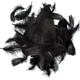 piorka-dekoracyjne-piora-ozdobne-czarne-10-g