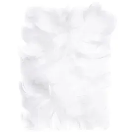 piorka-dekoracyjne-piora-ozdobne-biale-10-g