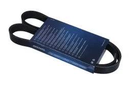 dayco-6pk1100s-pasek-klinowy-wielorowkowy
