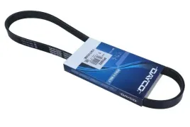 dayco-5pk855s-pasek-klinowy-wielorowkowy