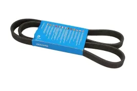 dayco-6dpk1352-pasek-klinowy-wielorowkowy