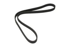 dayco-6dpk1195-pasek-klinowy-wielorowkowy