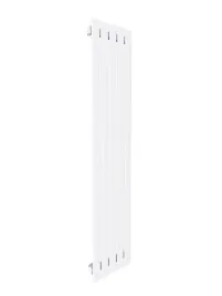 grzejnik-dekoracyjny-belloslim-100x38-bialy-polysk