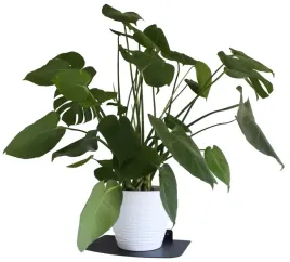 solidny-metalowy-kwietnik-wiszacy-scienny-loft-polka-na-sciane-czarny-duzy