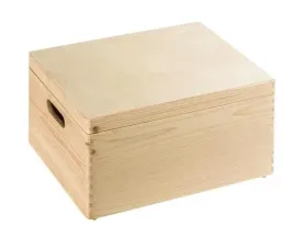 pojemnik-pokrywa-skrzynka-cruz-40x24x30cm-pojemnos