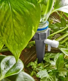 susza-wyjezdzasz-12szt-nakraplacz-butelkowy-do-r