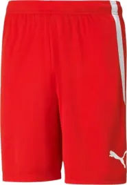 spodenki-meskie-puma-teamliga-czerwone-704924-01-rozm-s