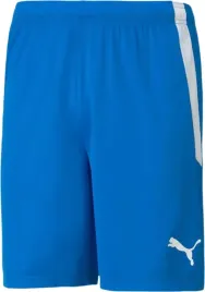spodenki-meskie-puma-teamliga-niebieskie-704924-02-rozm-m