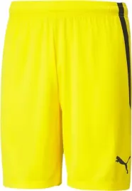 spodenki-meskie-puma-teamliga-zolte-704924-07-rozm-m