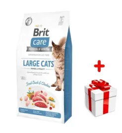 brit-care-grain-free-large-cats-power-and-vitality-2kg-niespodzianka-dla-k