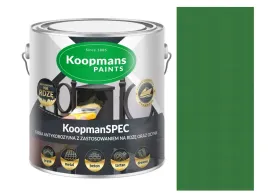 koopmans-farba-antykorozyjna-koopmanspec-025l-ral-6010-zielony