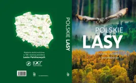 b-ksiazka-polskie-lasy-historia-i-zasoby-przyrodnicze-wyd-sbm-twarda-okl
