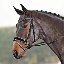 b-oglowie-busse-luxury-vb-cob-schwarz-strass-grau