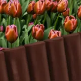 palisada-border-brazowy-plotek-ogrodowy-obrzeze-producent-vilde