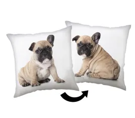 poduszka-40x40-bulldog-biala-bezowa