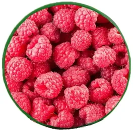 poduszka-okragla-illusione-40x7-maliny-czerwona-siedzisko-na-krzeslo