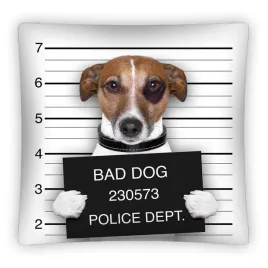 poszewka-dziecieca-40x40-3d-pies-w-areszcie-zdjecie-zatrzymanego-ps-0006