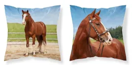 poszewka-dziecieca-40x40-kon-mf-03-kids-114