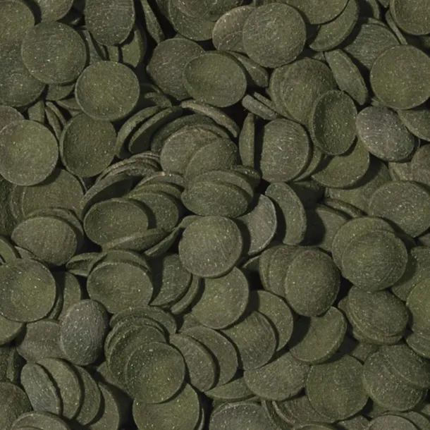 tropical-green-algae-wafers-5000ml-tropical-typ-przetworzone