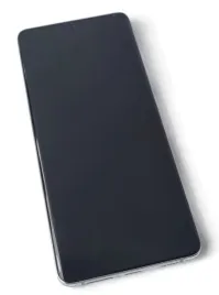 org-wyswietlacz-lcd-oryginalny-ramka-samsung-galaxy-s21-ultra-g998-srebrny