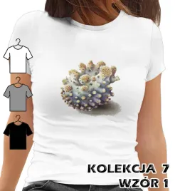 t-shirt-koszulka-damska-morskie-zwierzeta-zolw-konik-morski-rozgwiazda-xs