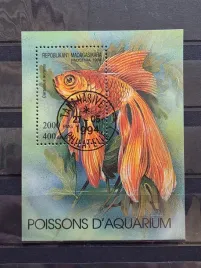 znaczki-fauna-ryby-madagaskar-kasowany-f11