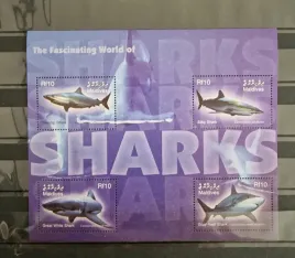 2004-bloczek-fauna-ryby-rekiny-malediwy-czysty-perf