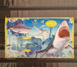 2020-bloczek-ryby-rekiny-gabon-czysty-perf