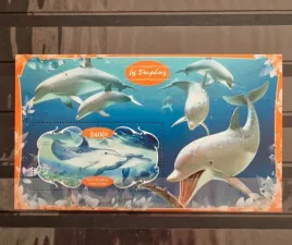 2020-bloczek-ryby-delfiny-gabon-czysty-perf