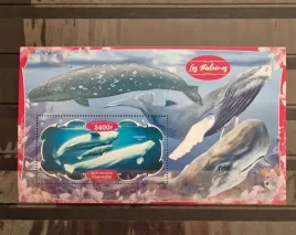 2020-bloczek-ryby-walenie-gabon-czysty-perf