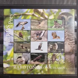 2018-fauna-zwierzeta-ptaki-drapiezne-sowy-rarotonga-czysty-d
