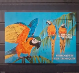 2000-fauna-zwierzeta-ptaki-papugi-congo-czysty-perf