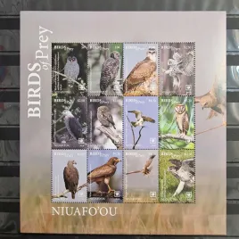 2018-fauna-zwierzeta-ptaki-drapiezne-sowy-jastrzebie-niuafo-ou-czysty-d