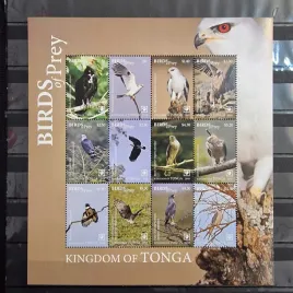 2018-fauna-zwierzeta-ptaki-drapiezne-jastrzebie-tonga-czysty-perf-d