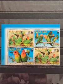 znaczki-fauna-ptaki-papugi-malawi-czysty-p2