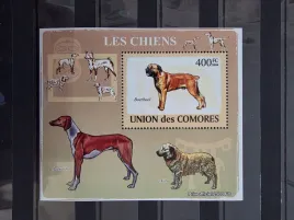 znaczki-fauna-zwierzeta-psy-komory-czysty-zn41